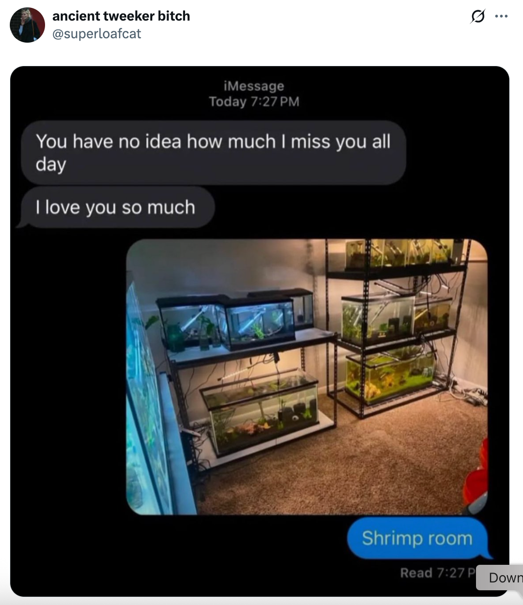 Screenshot of a text conversation about missing someone, with a photo of a room full of shrimp tanks