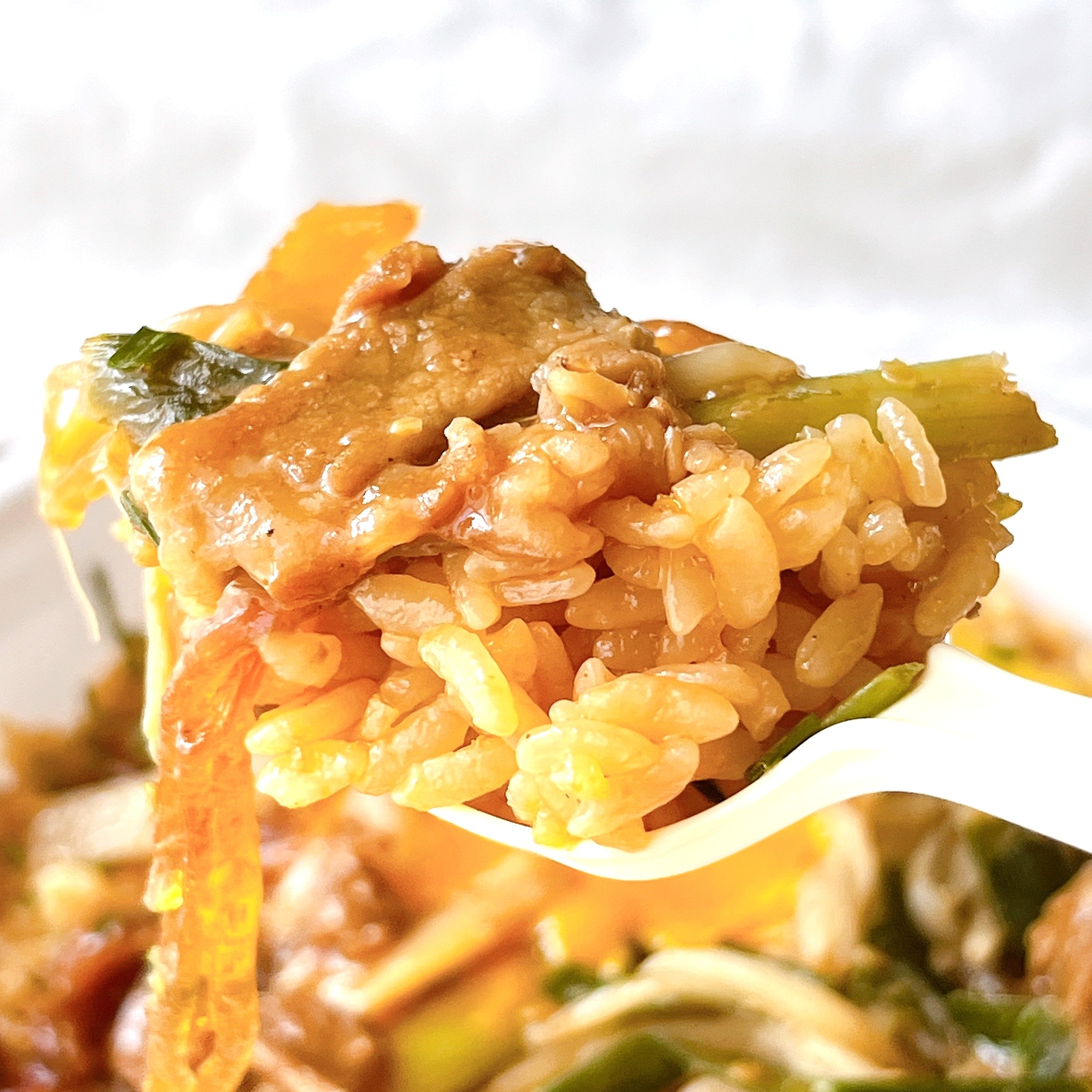 フォークで持ち上げられた中華炒飯のクローズアップ。野菜と肉が混ざっている。