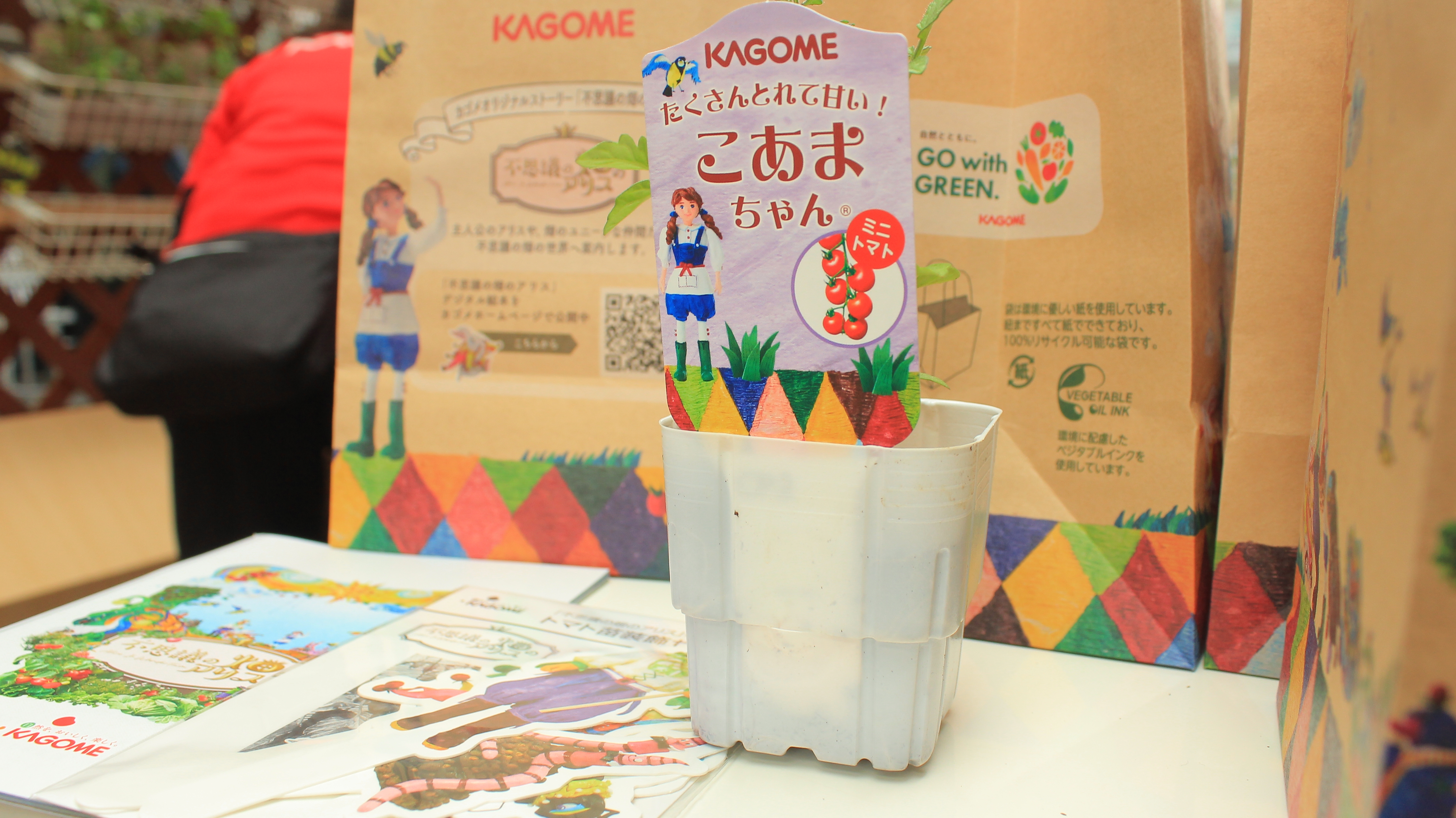 スタンプラリーでもらえるミニトマト「こあまちゃん」の苗（撮影：荒井啓仁 / BuzzFeed Japan）