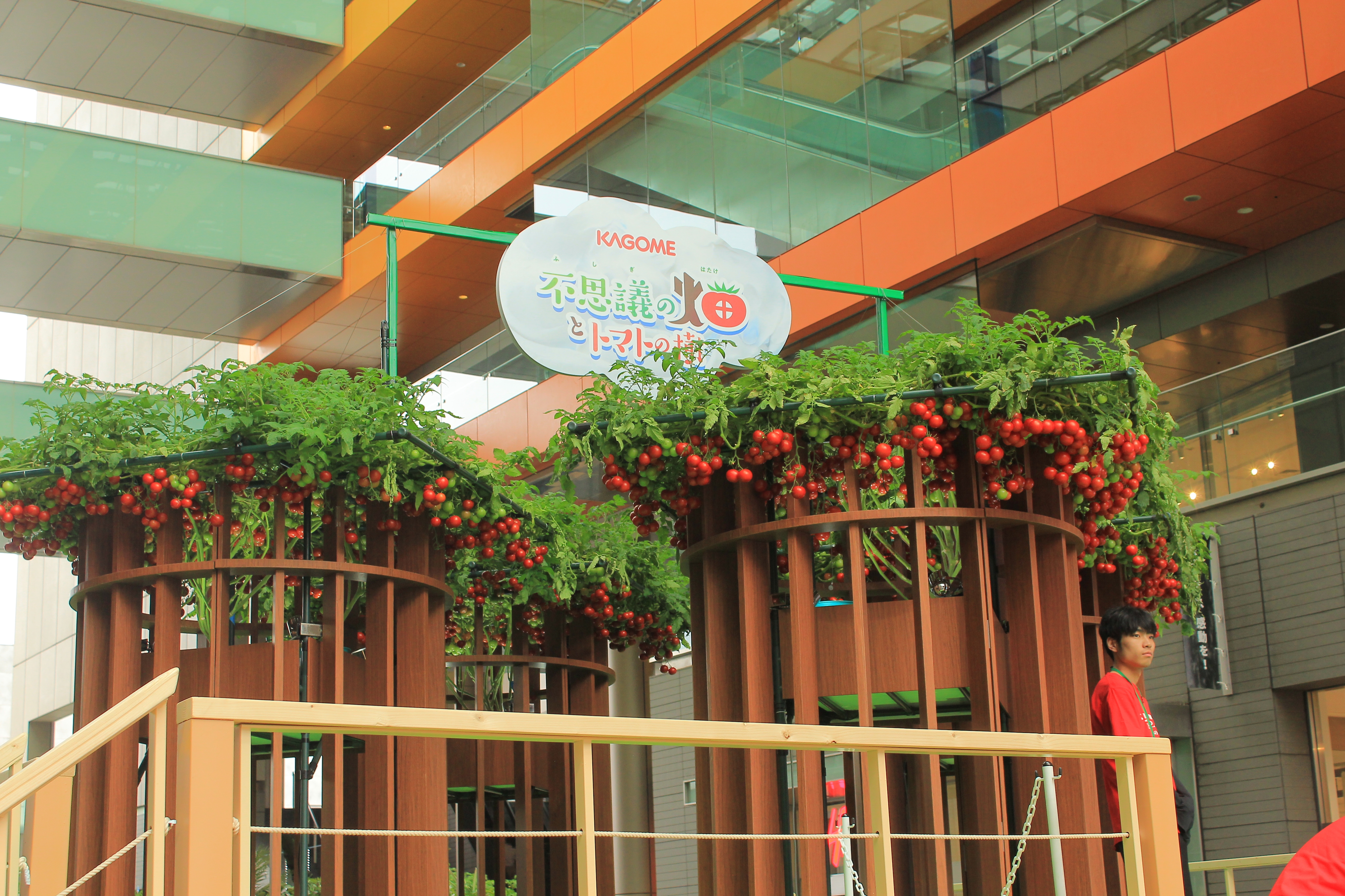 会場内に設置された“トマトの樹”（撮影：荒井啓仁 / BuzzFeed Japan）