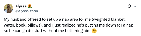 Tweet by user Alyssa, joking about her husband setting up a nap area so he can have time to himself