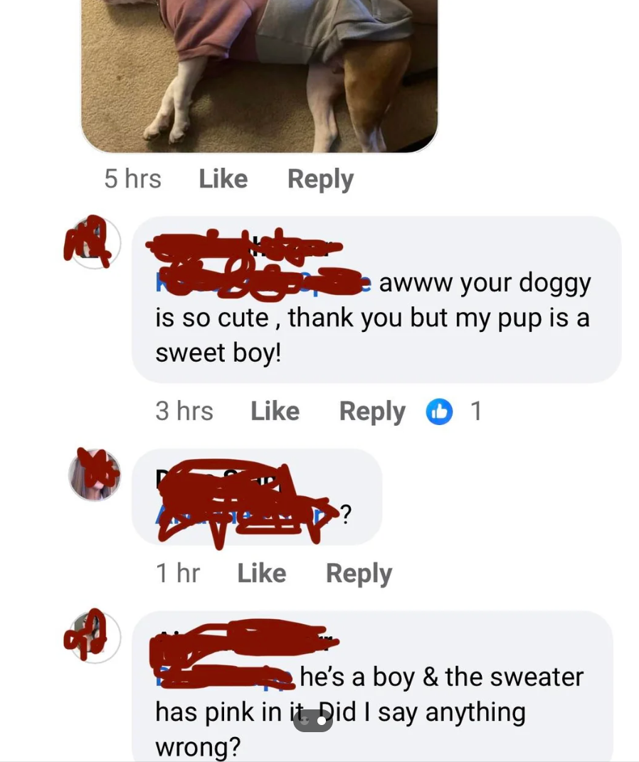 Screenshot of a social media comment thread about a dog wearing a pink sweater, discussing the color's significance