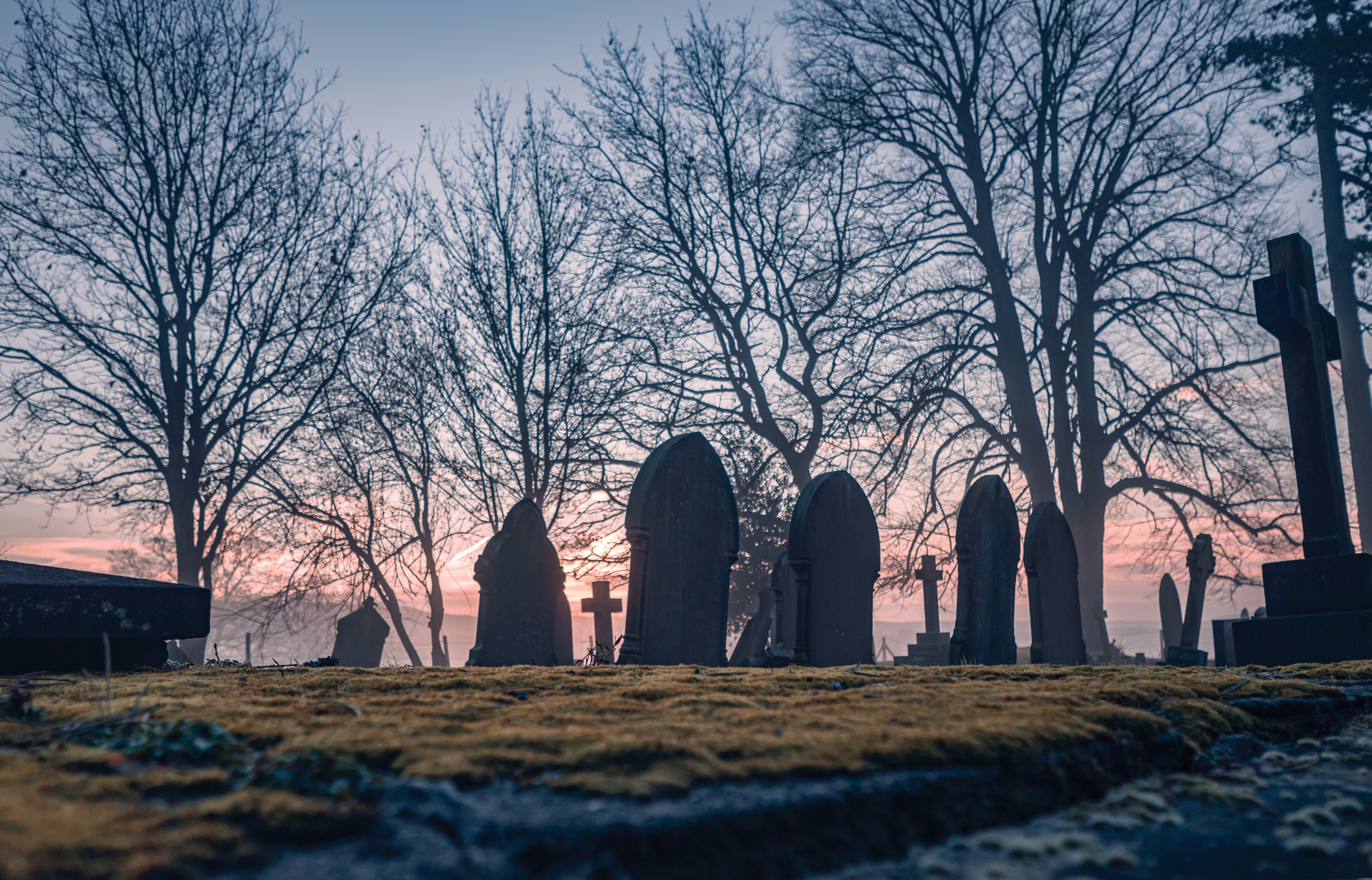 Silhouetted graveyard scene at dusk with bare trees and headstones against a colorful sky