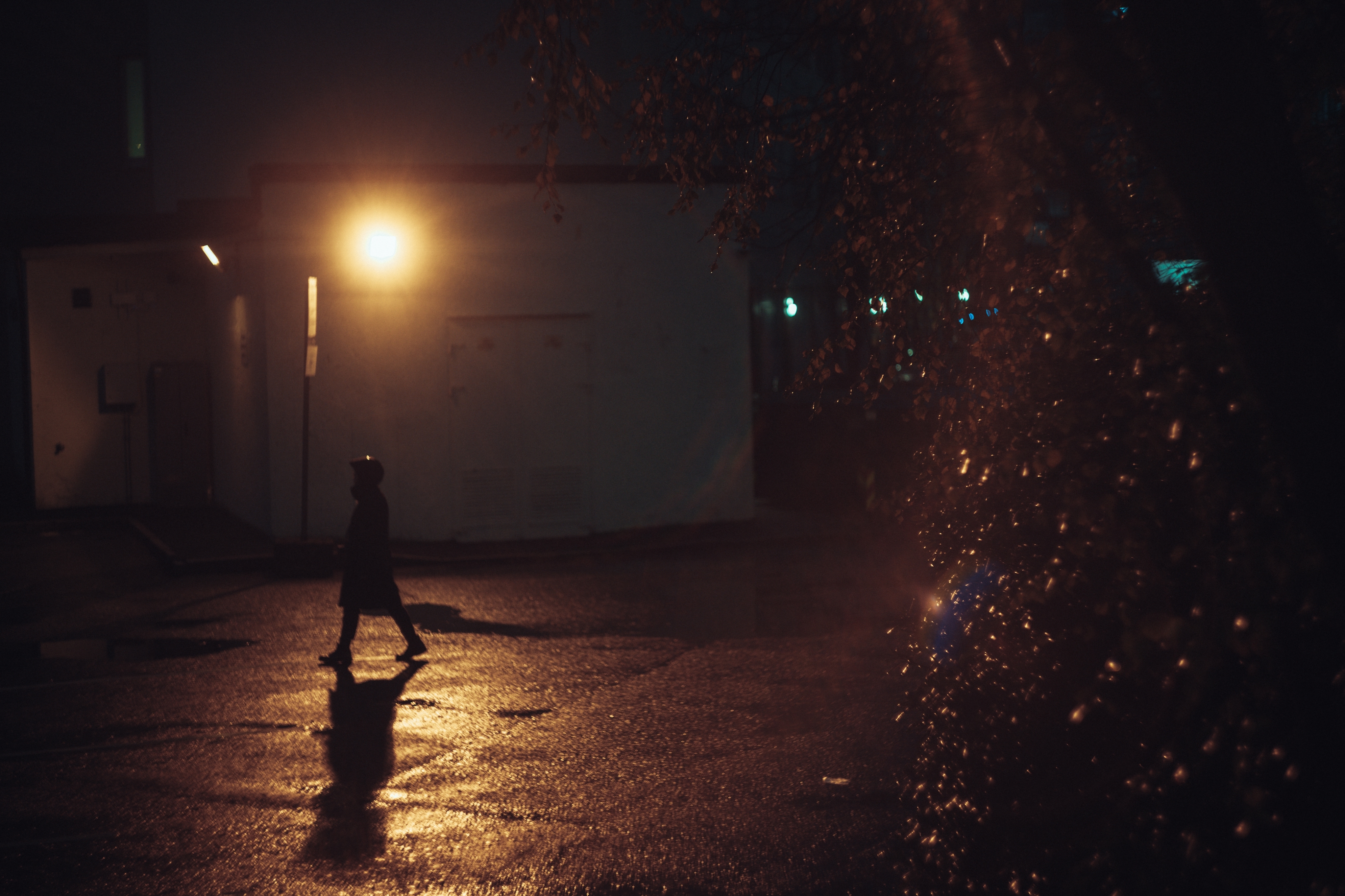 Silhouette of a person walking on a wet street at night, illuminated by a streetlight, with a tree on the right side of the image