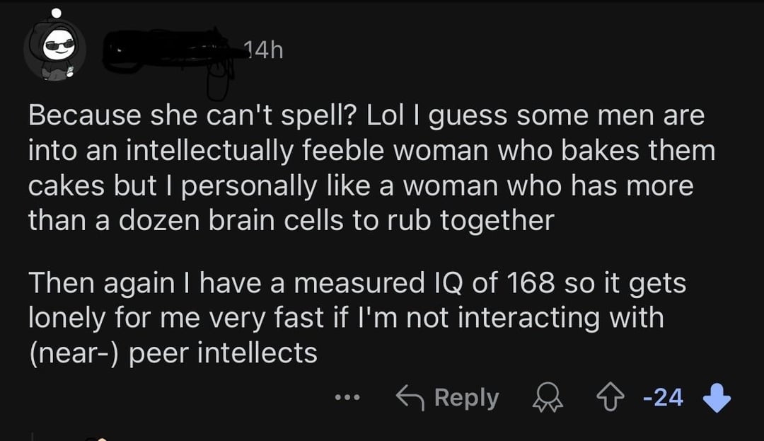 A social media comment claiming preference for intellectually capable women, referencing an IQ of 168 and criticizing another's spelling