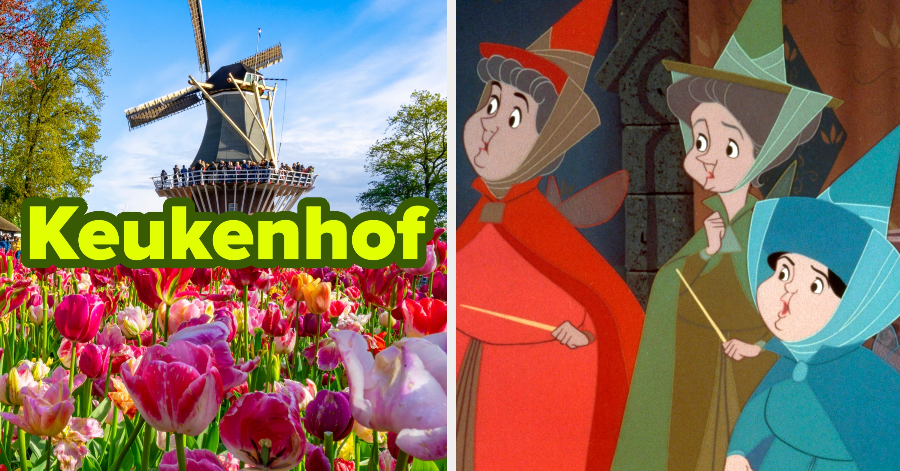 Travel The World And I'll Guess Your Go-To Disney Princess Film