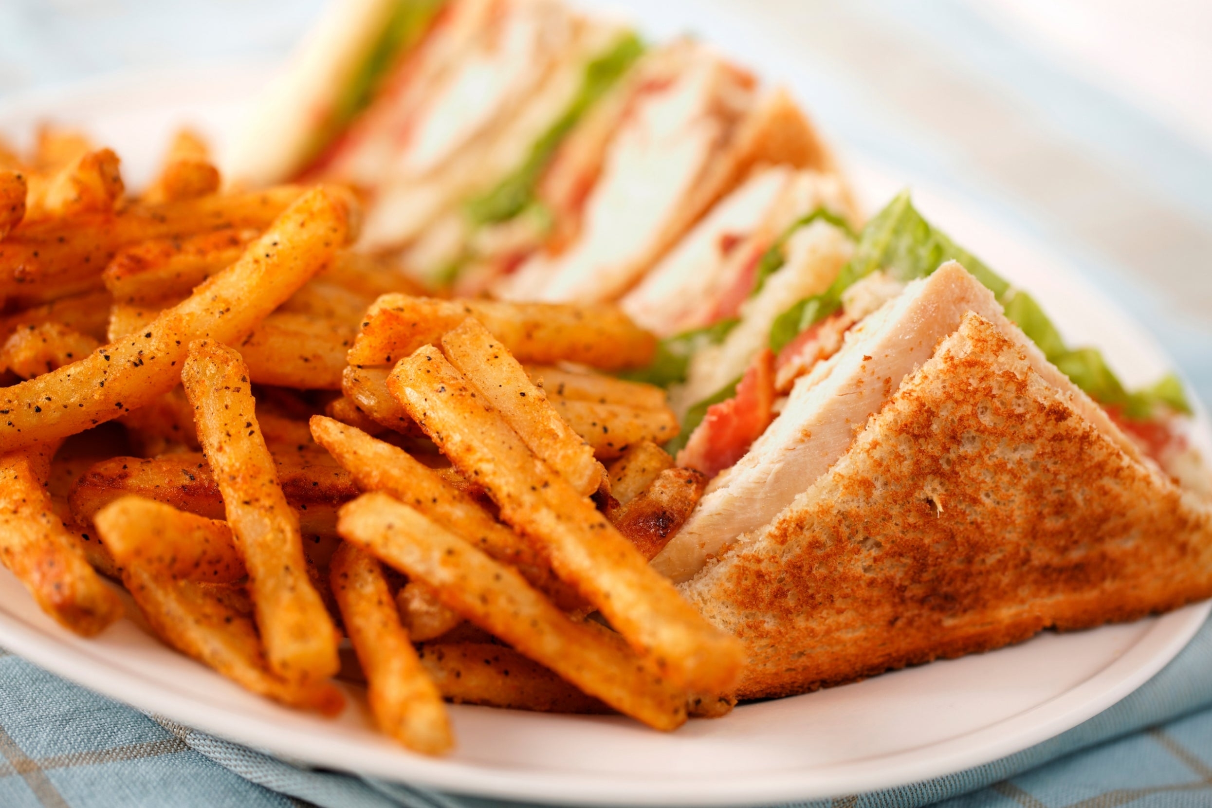 A plate with seasoned fries and a stacked club sandwich with lettuce, tomato, and turkey on toasted bread