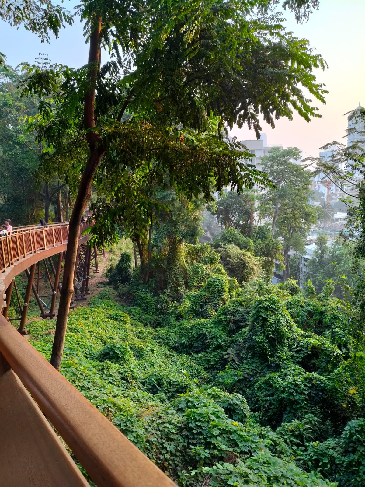 A walk through Mumbai's Malabar Hill elevated walkway