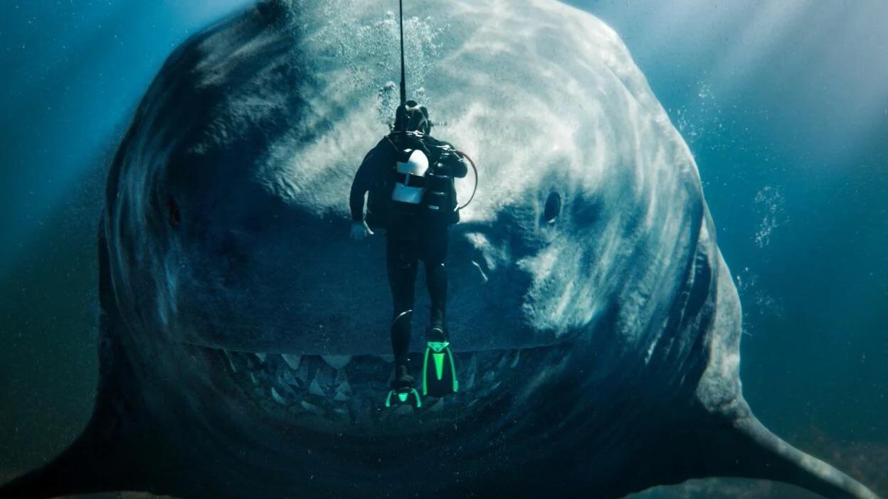 A scuba diver swims close to a giant shark underwater, showcasing the massive size difference