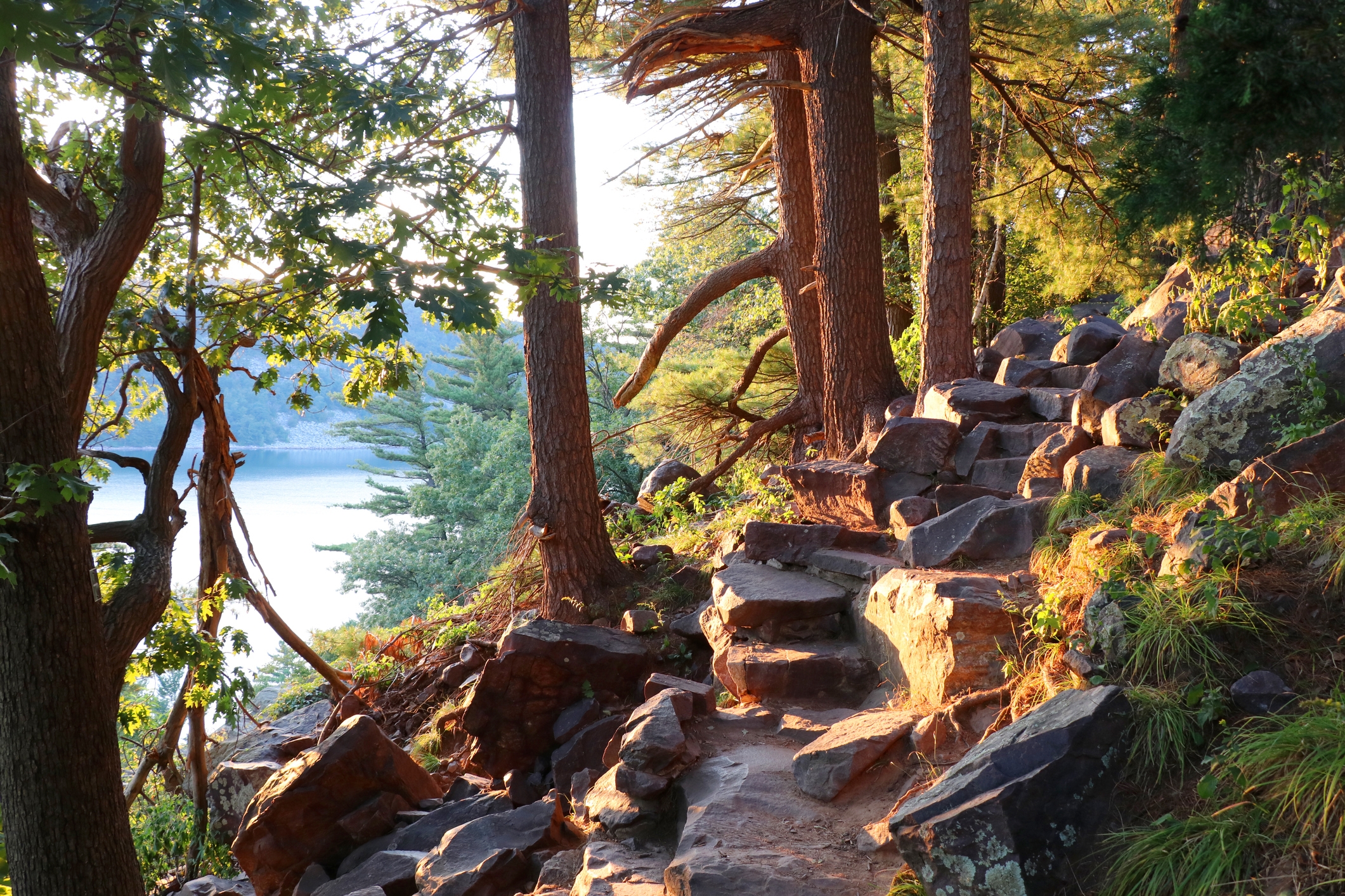 Forest trail with rocky steps leading to a lake, surrounded by tall trees, in soft sunlight