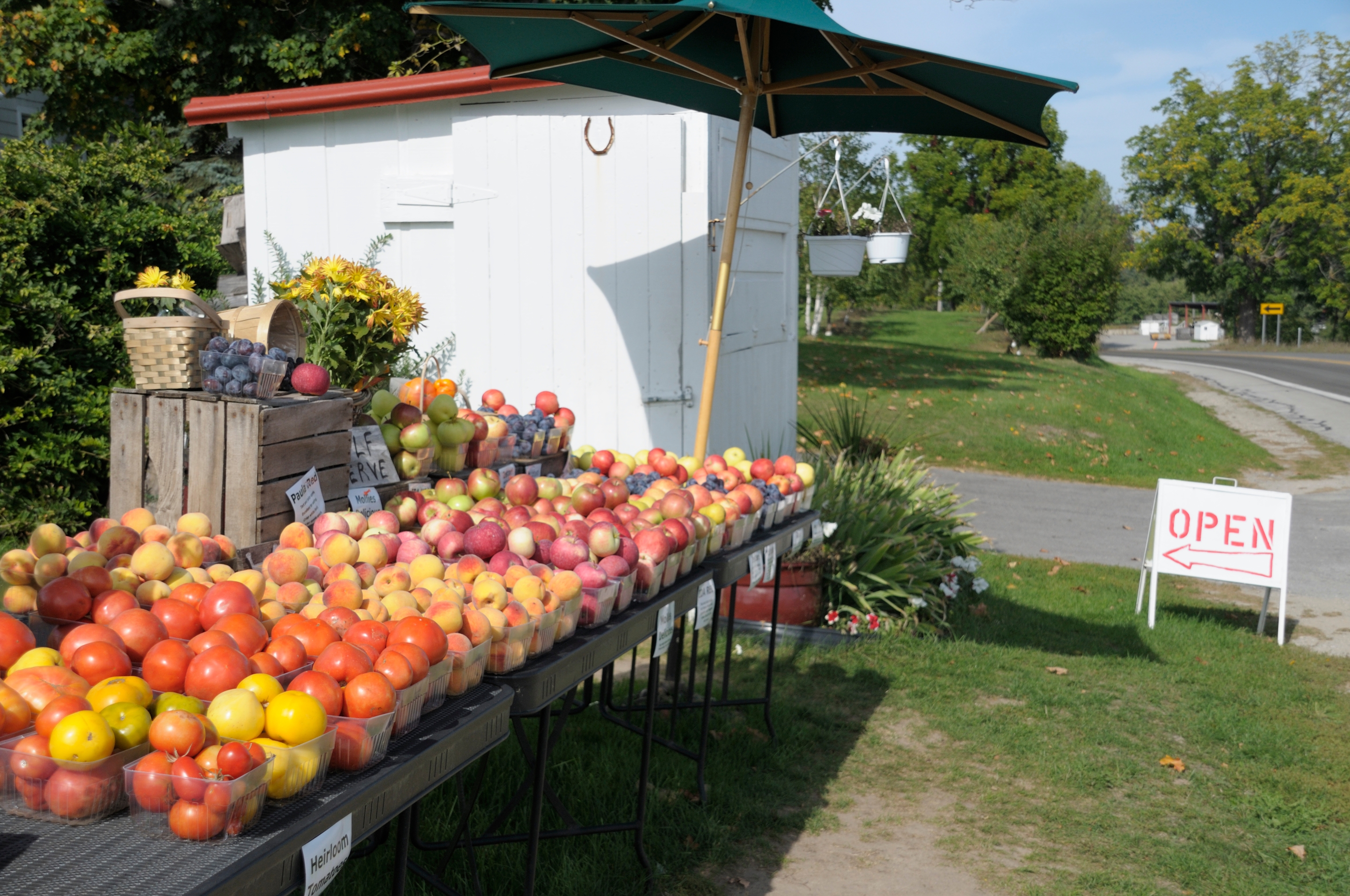 A roadside stand displays an array of fresh fruits, including apples and tomatoes, with an "Open" sign directing to the shop
