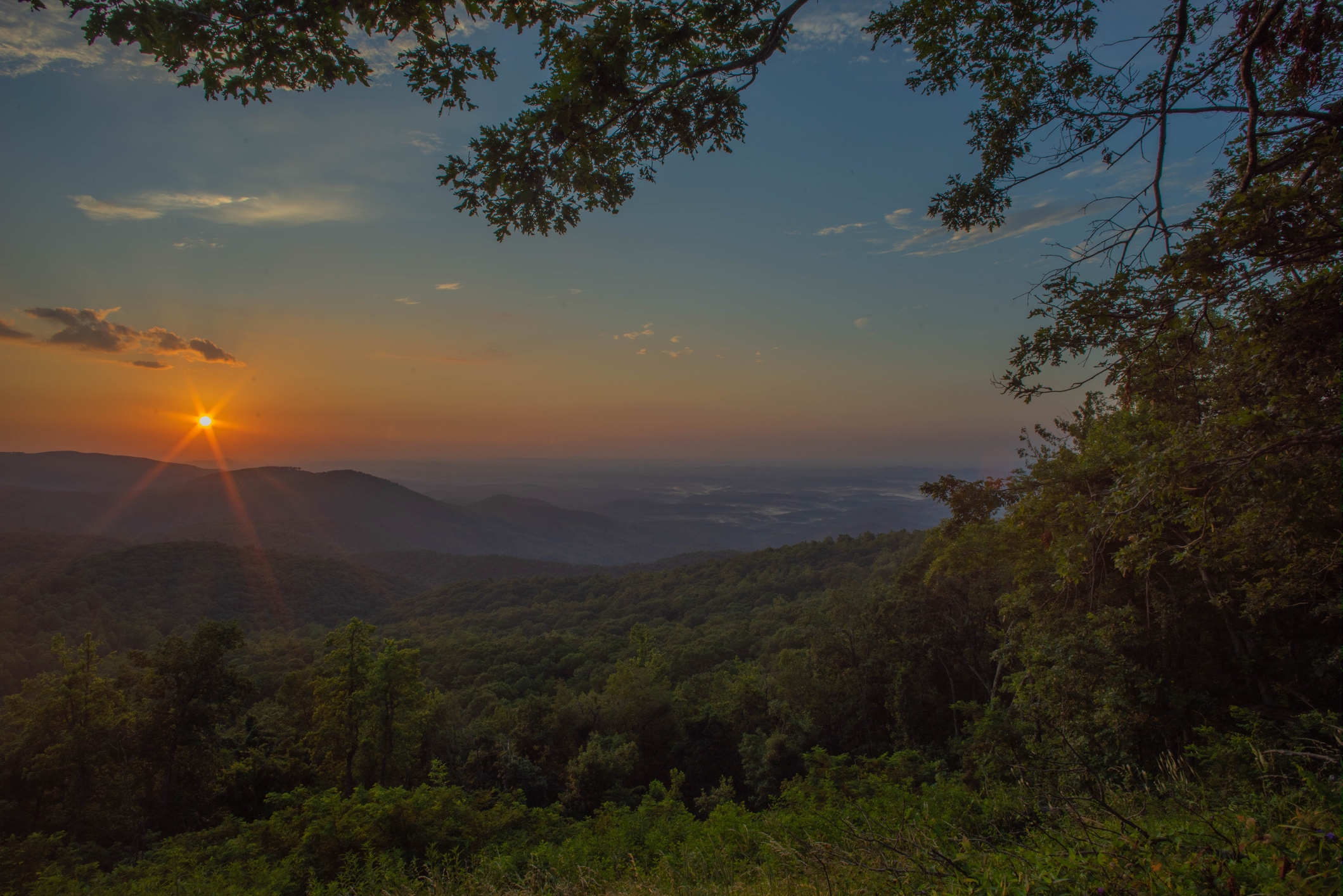 Sunset over a forested mountain landscape with a clear sky and distant hills. Trees frame the scenic view