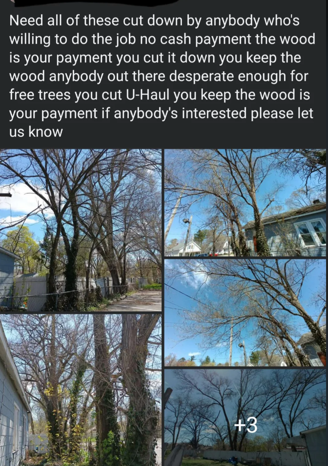 Text offering trees for cutting in exchange for wood, mentioning no cash payment. Interested individuals should contact the provider