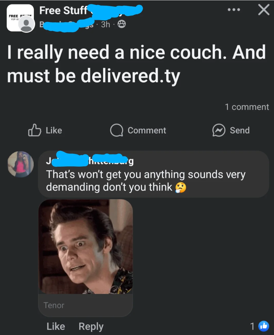 Facebook post in a free stuff group asking for a nice couch with delivery. One comment criticizes the request with an expressive meme image reply