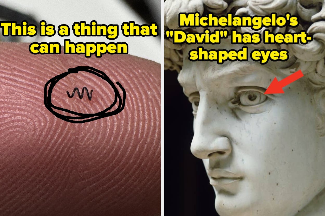Close-up of a fingerprint with hair loop, and statue of Michelangelo's "David" with highlighted heart-shaped eyes