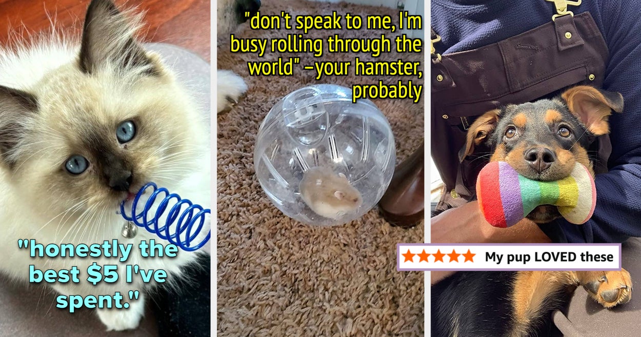 29 Toys Under $25 So You Can Spoil Your Pets On A Budget