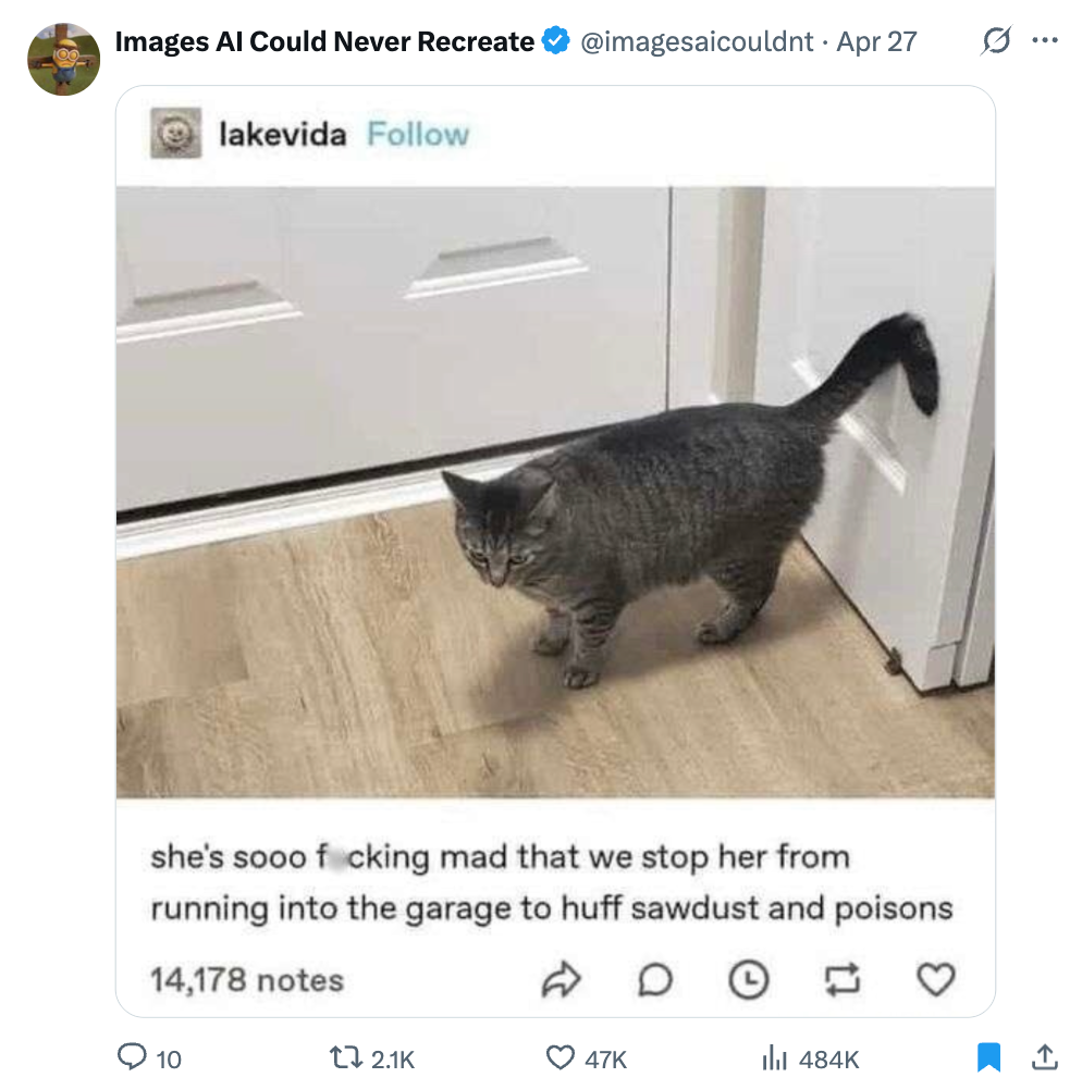 A cat looks mischievous near a garage. Caption humorously suggests the cat is upset about being stopped from entering to &quot;huff sawdust and poisons.&quot;