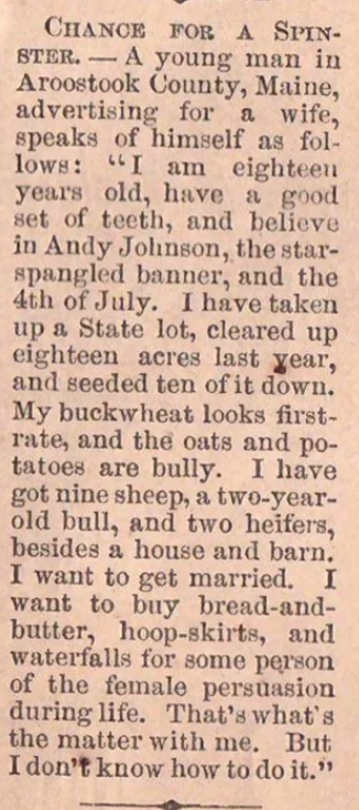 Personal ad — a young man in Aroostook County, Maine, seeks a wife. He lists his age, assets, and qualities (including good teeth), and expresses desire to have someone to buy hoop-skirts for