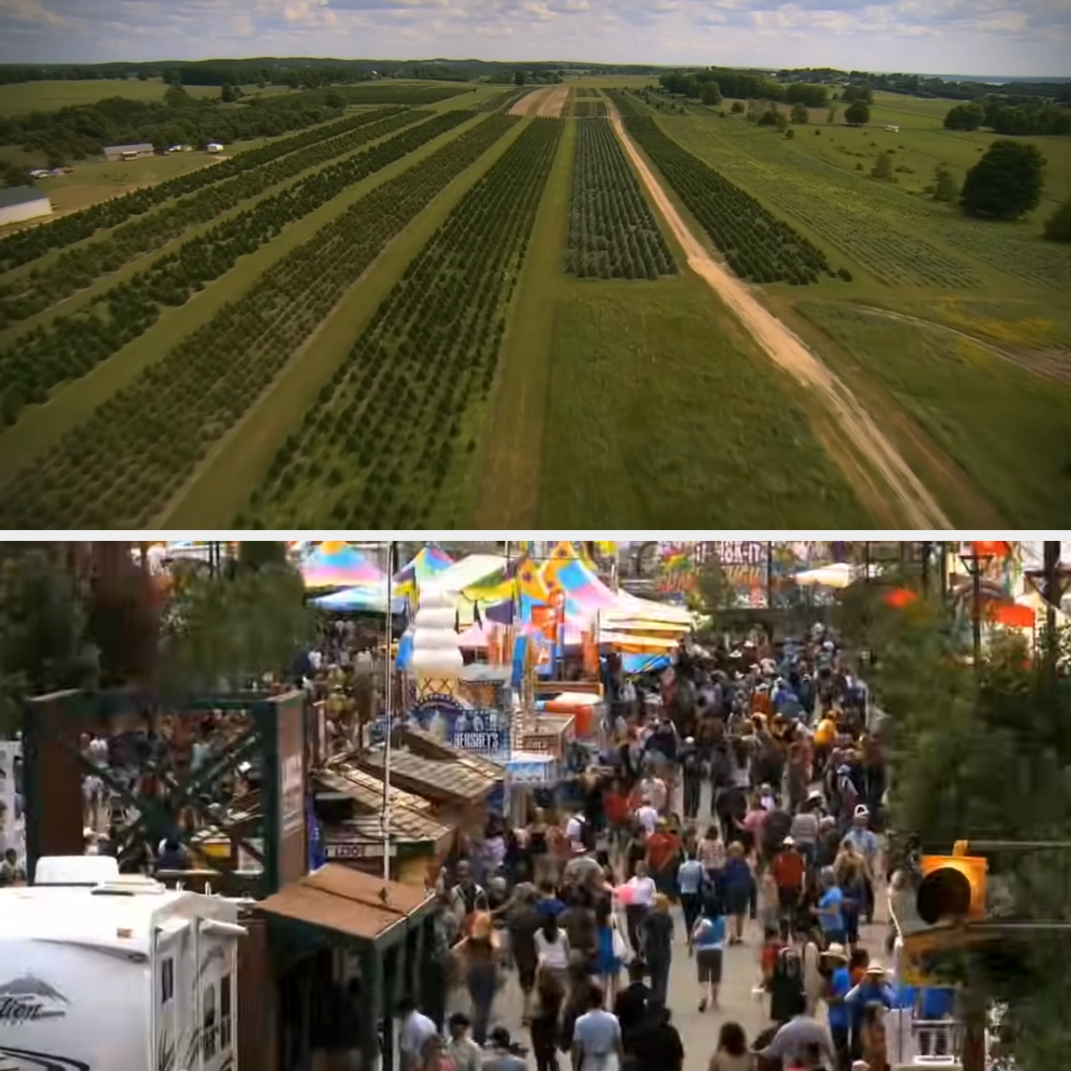 Aerial view of a vineyard followed by a bustling outdoor festival with crowds, tents, and stalls