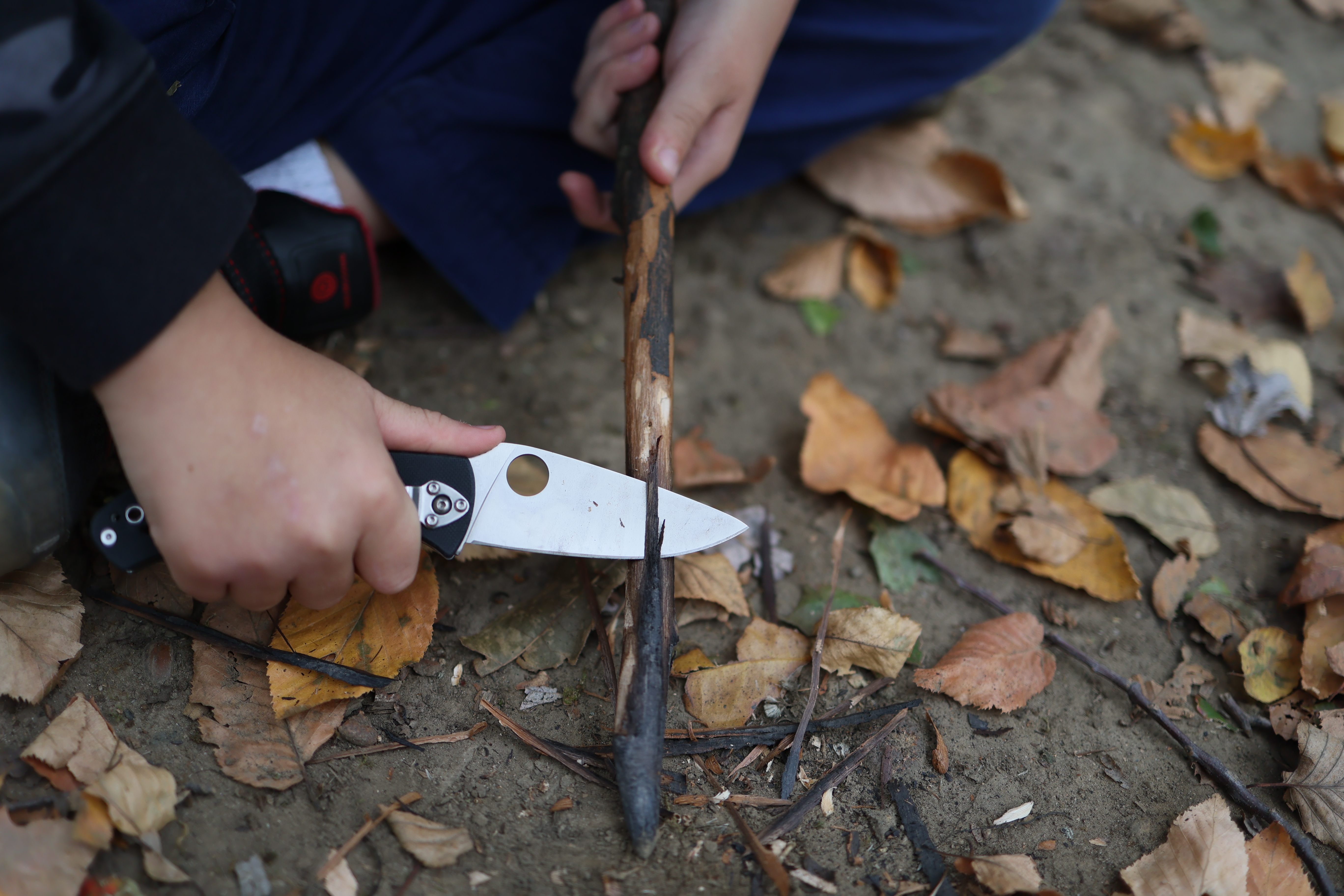 Person whittling a stick with a pocket knife outdoors surrounded by fallen leaves
