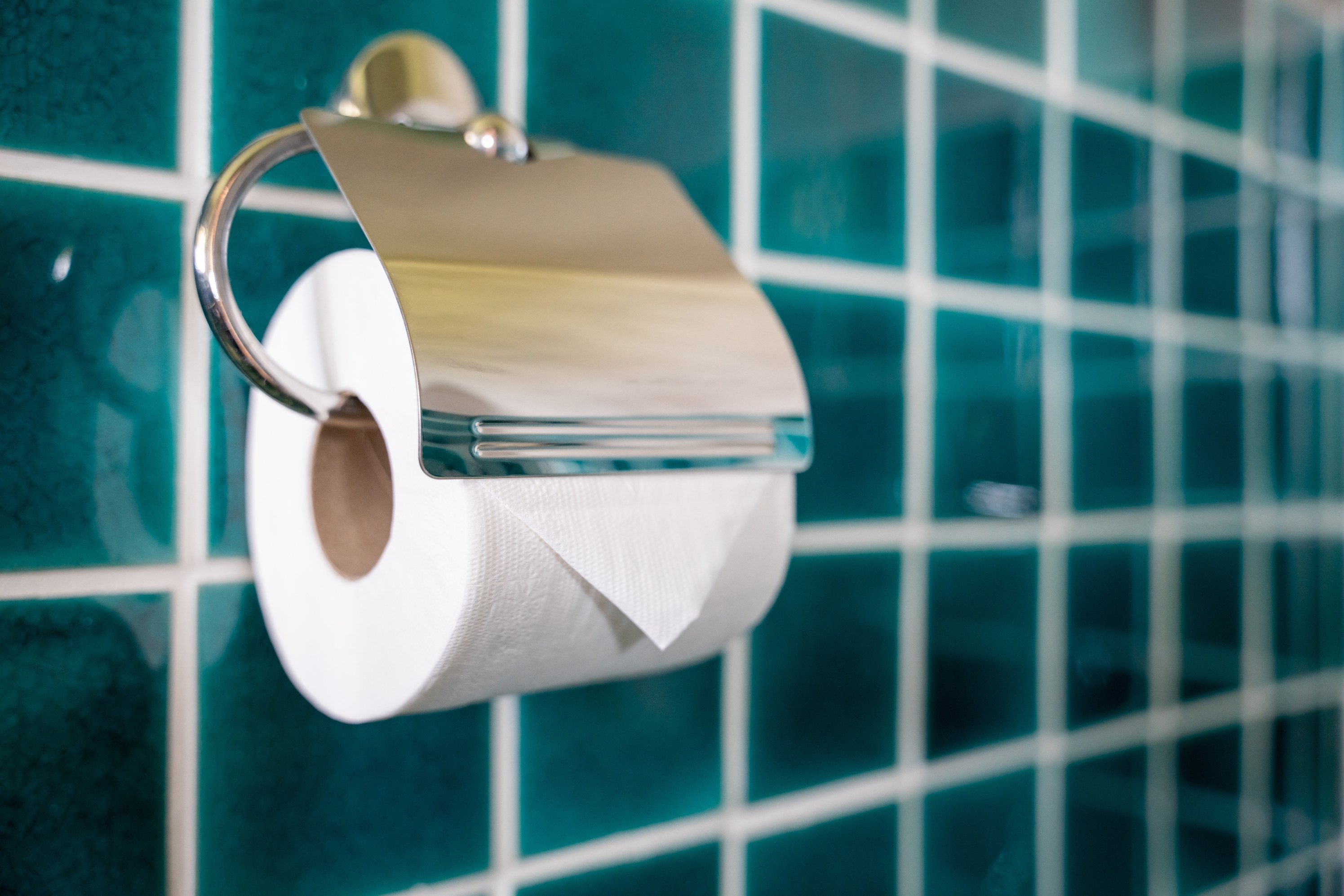 Toilet paper roll on a holder against a tiled wall in a bathroom setting.
