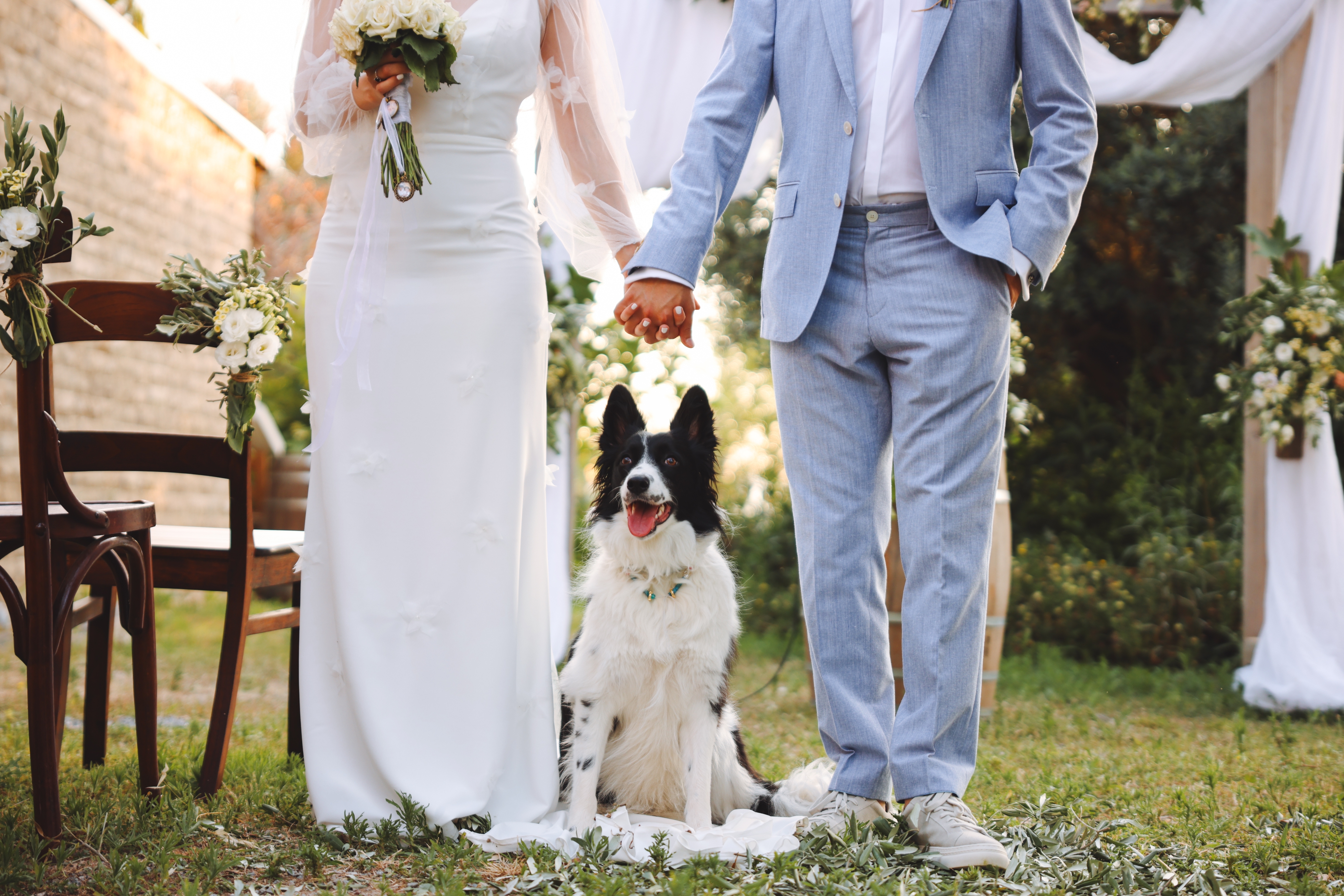 Bride in a long gown and groom in a light suit stand holding hands with a dog sitting between them at an outdoor wedding ceremony.