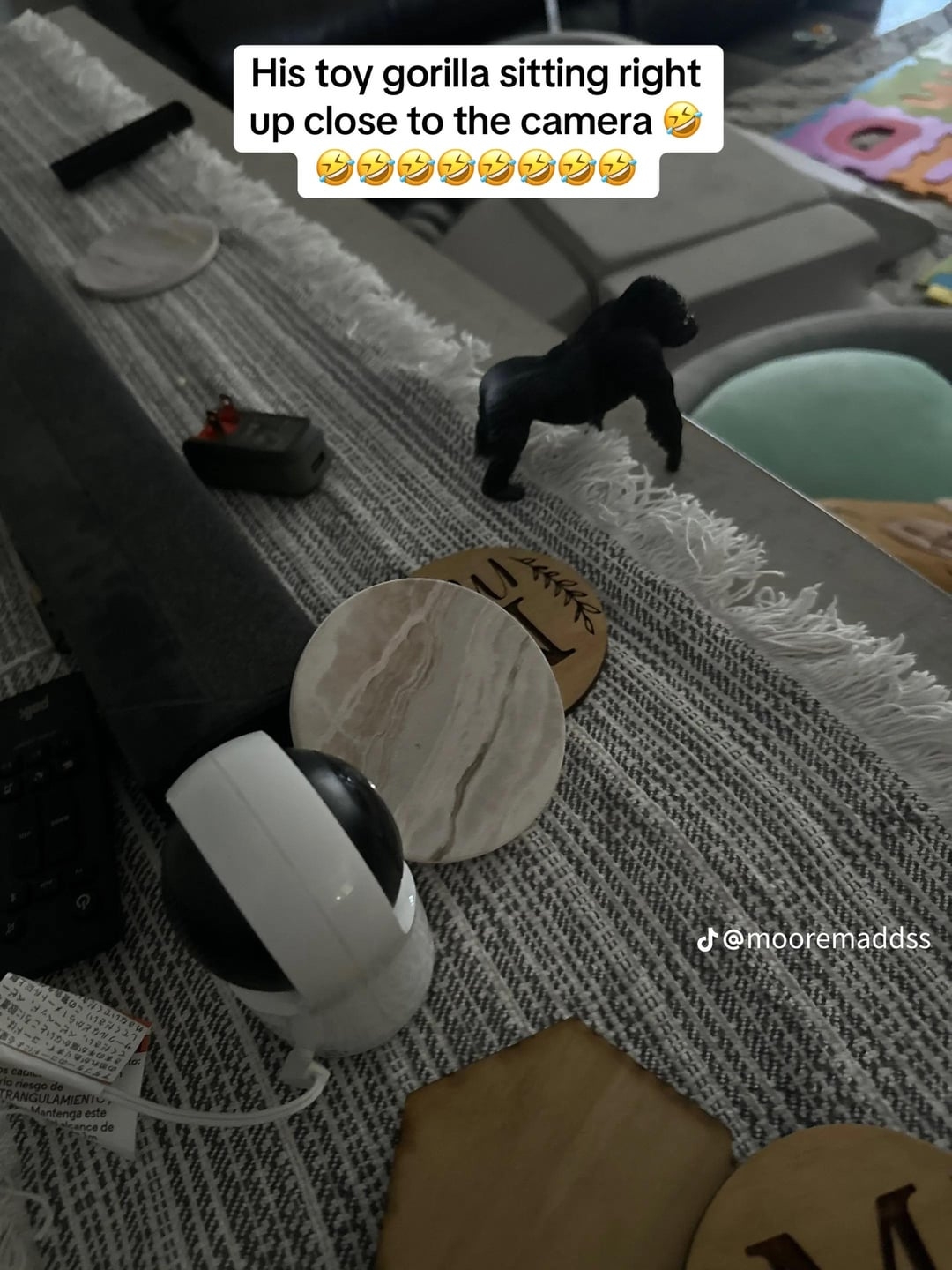 A toy gorilla is positioned close to the camera on a table, with various items like coasters and a cable nearby. Text: "His toy gorilla sitting right up close to the camera ?."