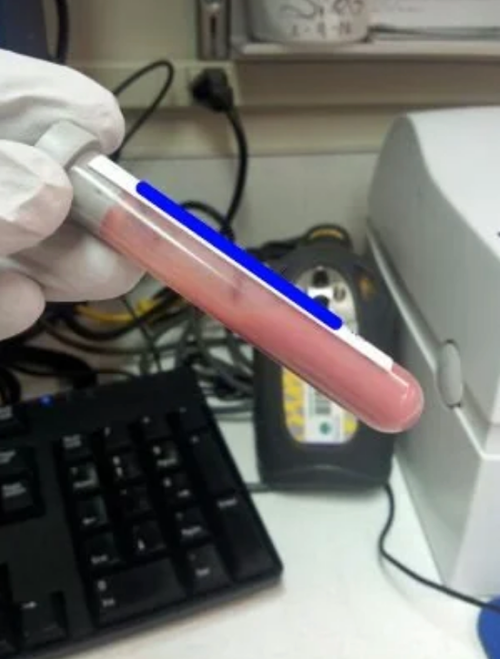 Gloved hand holds a test tube with pink liquid