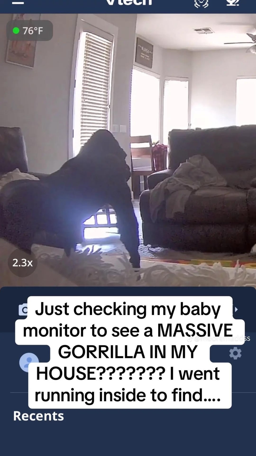 Image shows a baby monitor view with a child playfully crawling, resembling a gorilla. Text reads: "Just checking my baby monitor to see a MASSIVE GORILLA IN MY HOUSE?"
