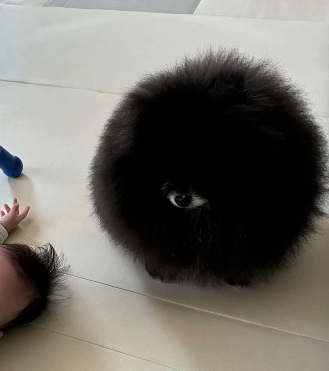 A fluffy dog stands beside a baby lying on the floor, creating a cute and humorous scene