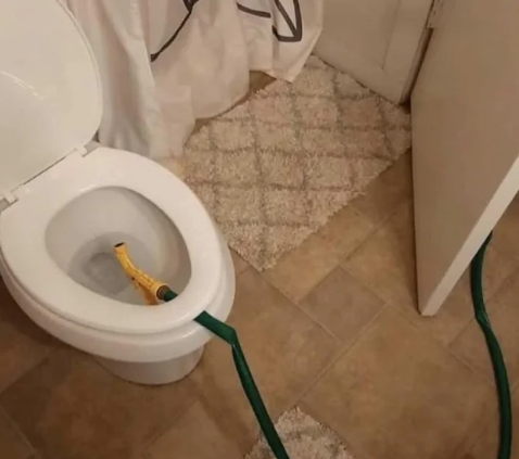 A garden hose is placed inside a toilet bowl, with water flowing through it, suggesting an unusual plumbing solution or cleaning method