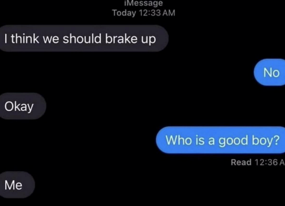 Text message exchange: "I think we should brake up." "No." "Okay." "Who is a good boy?" "Me."