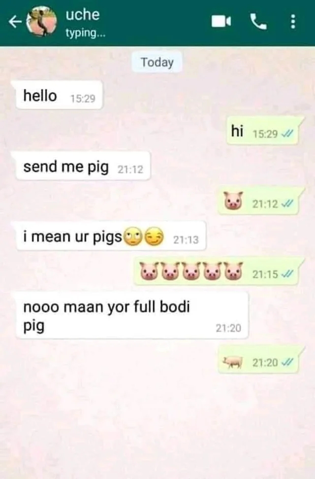 WhatsApp chat snippet with humorous typo: "send me pig" quickly corrected to "your full body pic."