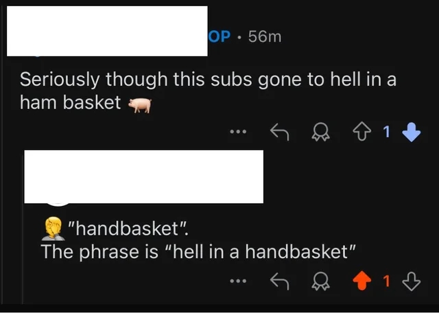 Screenshot of an online comment correcting another user’s phrase from “hell in a ham basket” to “hell in a handbasket.”