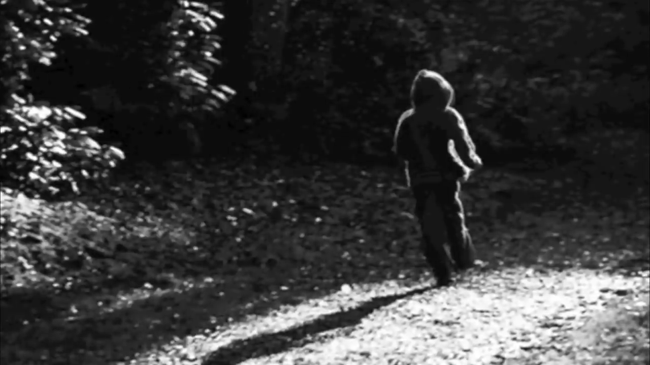 A person in a hoodie walks alone on a shadowy forest path, surrounded by trees