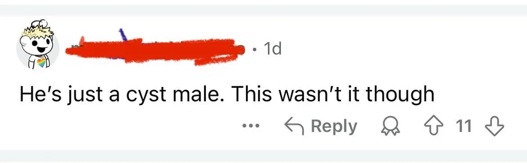 Social media comment mislabels "cis male" as "cyst male"; typo humorously noted by others