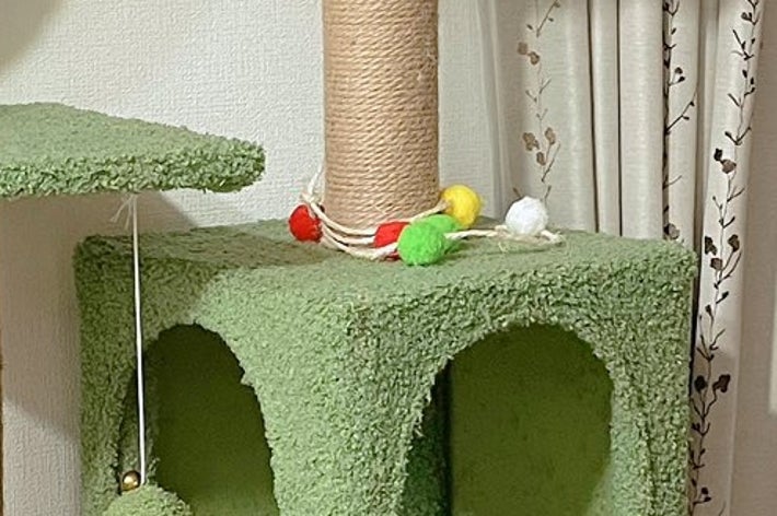 キャットタワーを登り切ってしまったおかか君 / 飼い主さん（@okaka_0516）のXより