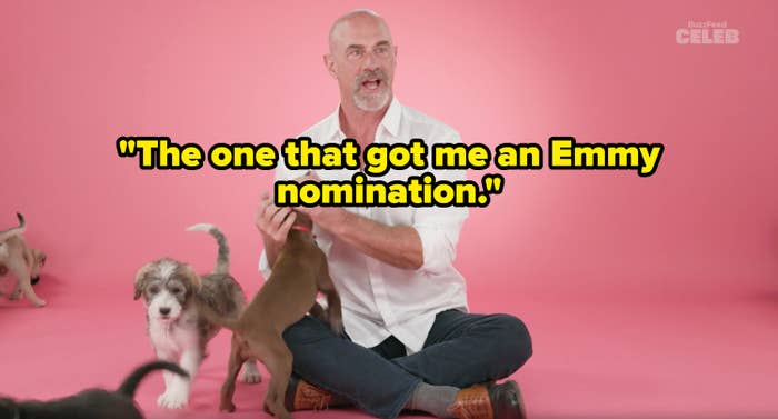 A man in a white shirt and jeans sits cross-legged, playing with puppies on a pink background