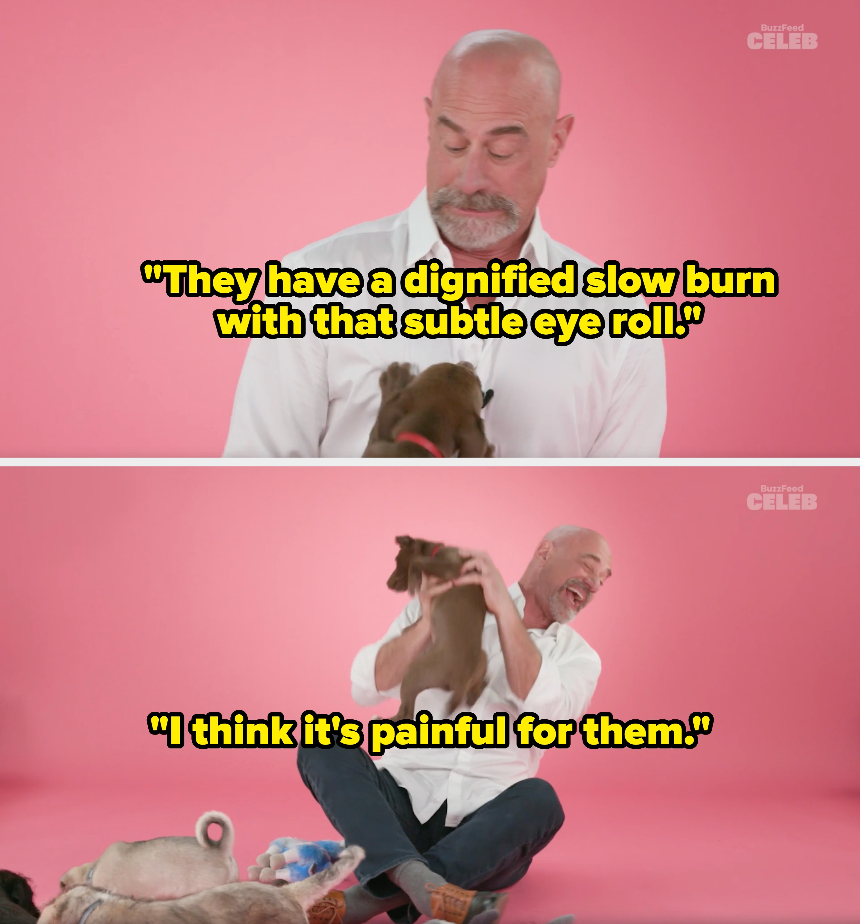 Chris looks down at a small dog reaching up toward him against a plain background