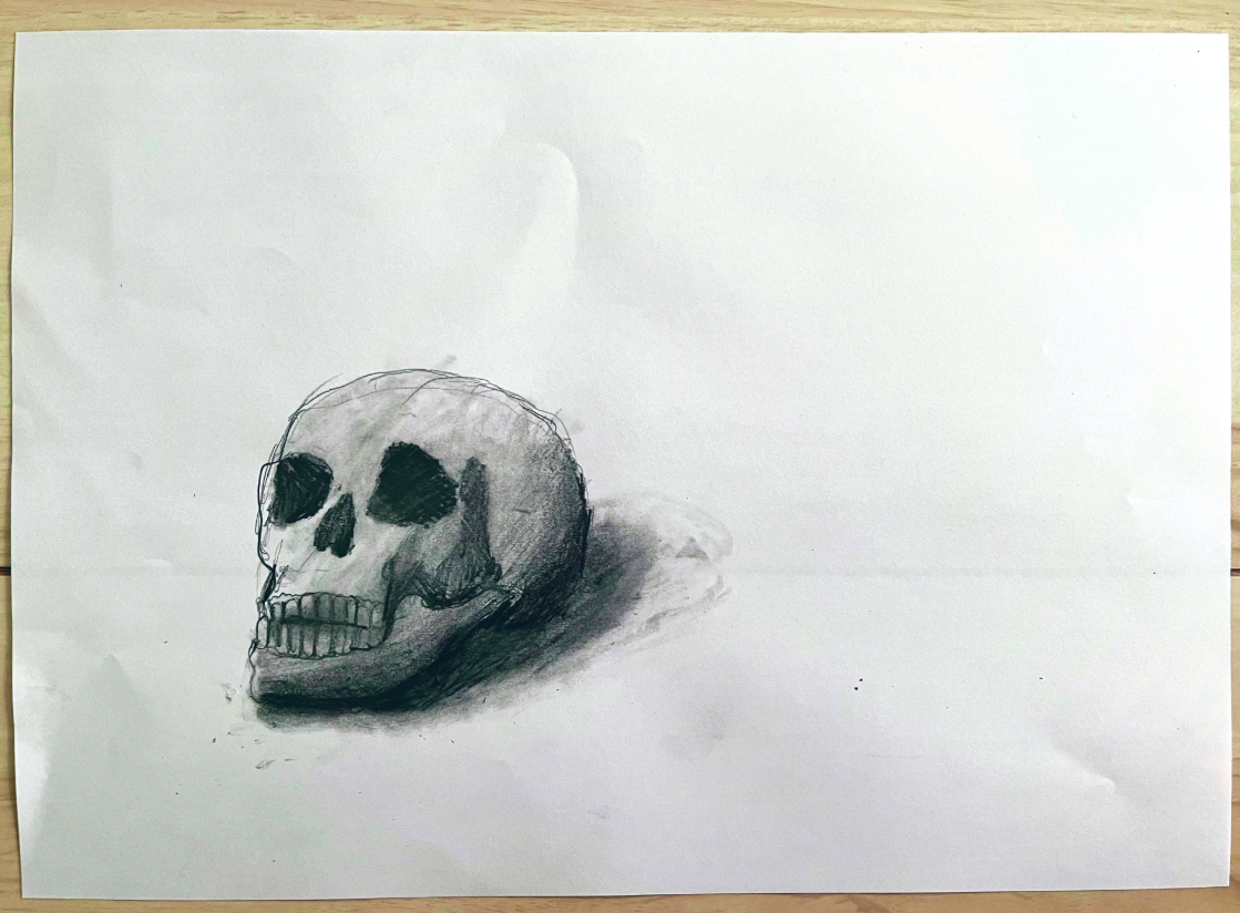 リアルなガイコツの絵 / pekepom(@peke_pom)さんのXより