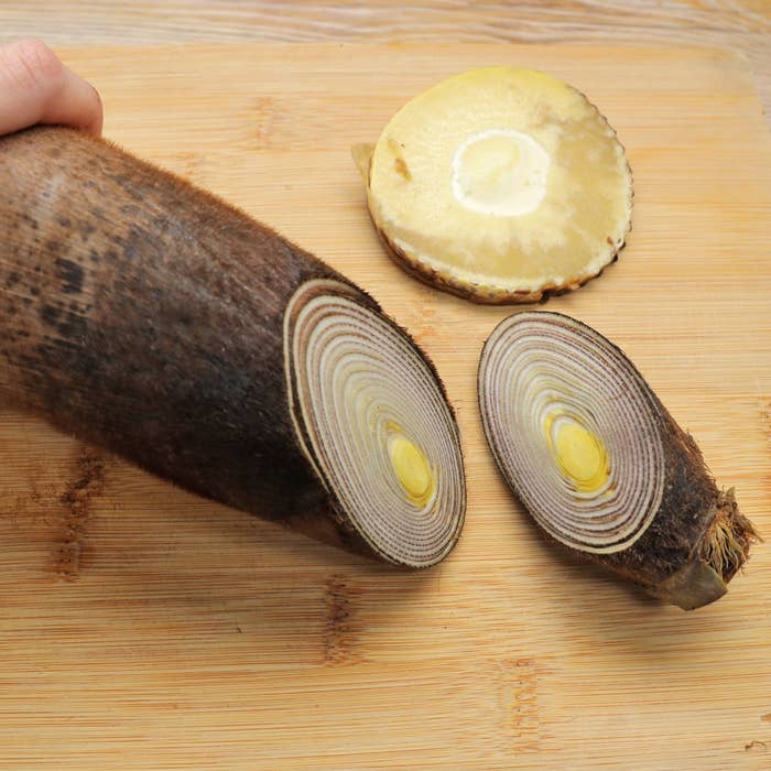 切られたタケノコがまな板の上に置かれ、輪切りの断面が見えている。