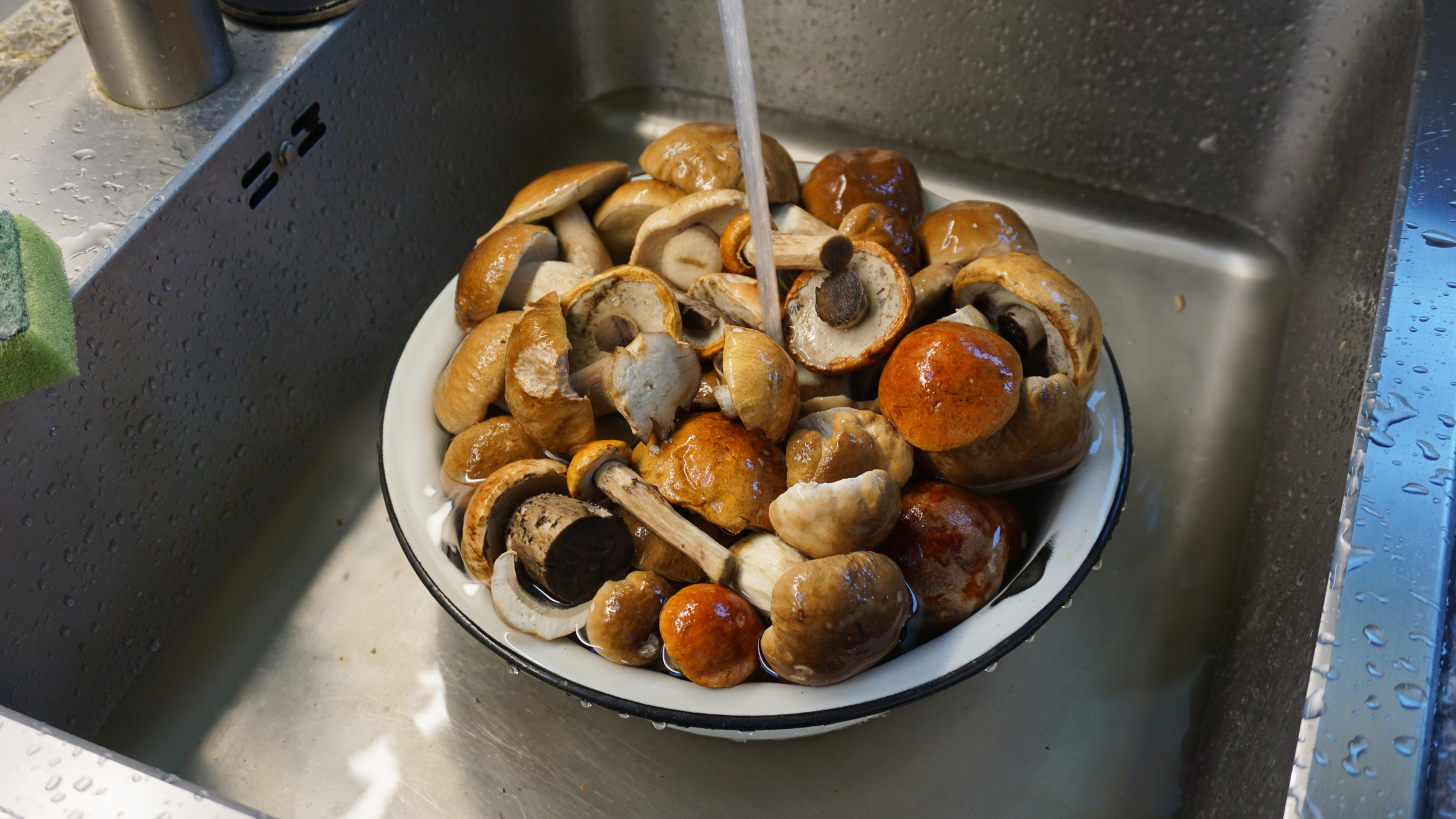 Mushrooms being washed under running water in a kitchen sink