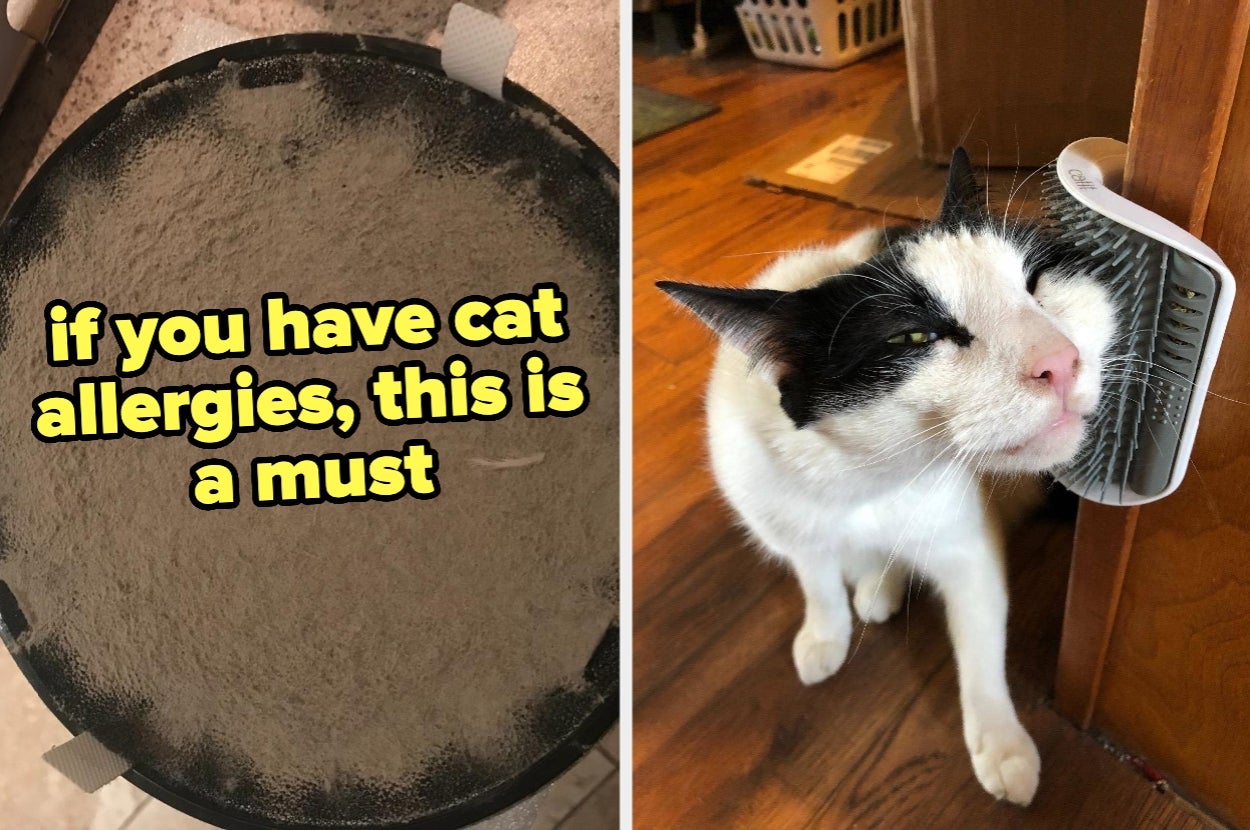 Dusty air filter on left; cat rubbing face on bristle brush attached to door on right. Text: "if you have cat allergies, this is a must."