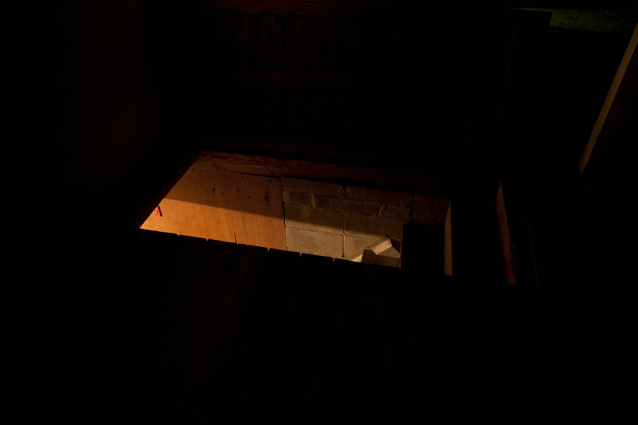 Dimly lit basement stairs descending into darkness, evoking a mysterious or eerie atmosphere