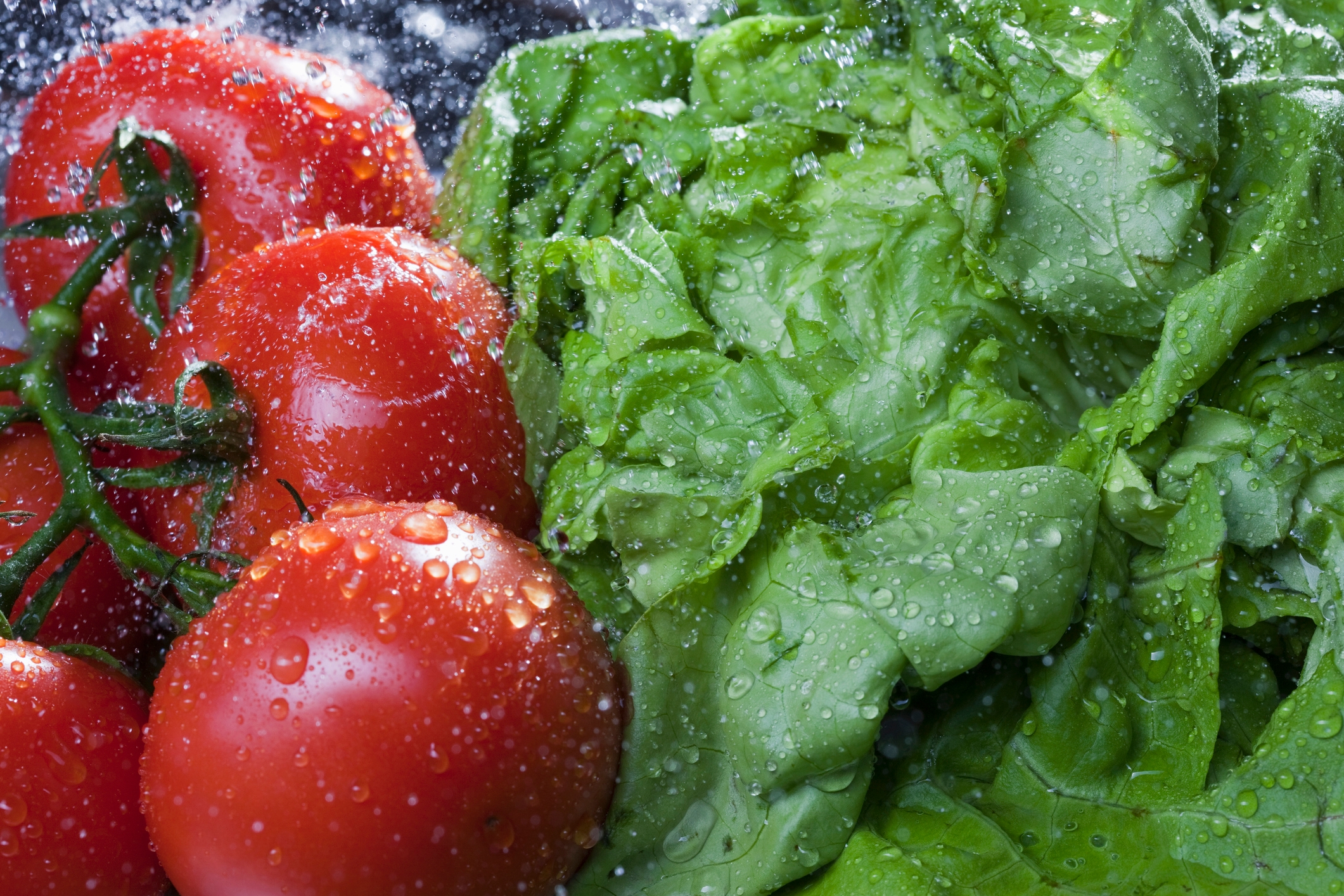 Tomatoes and lettuce with water droplets, suggesting fresh produce, relevant to work and money themes like farming, markets, or healthy living