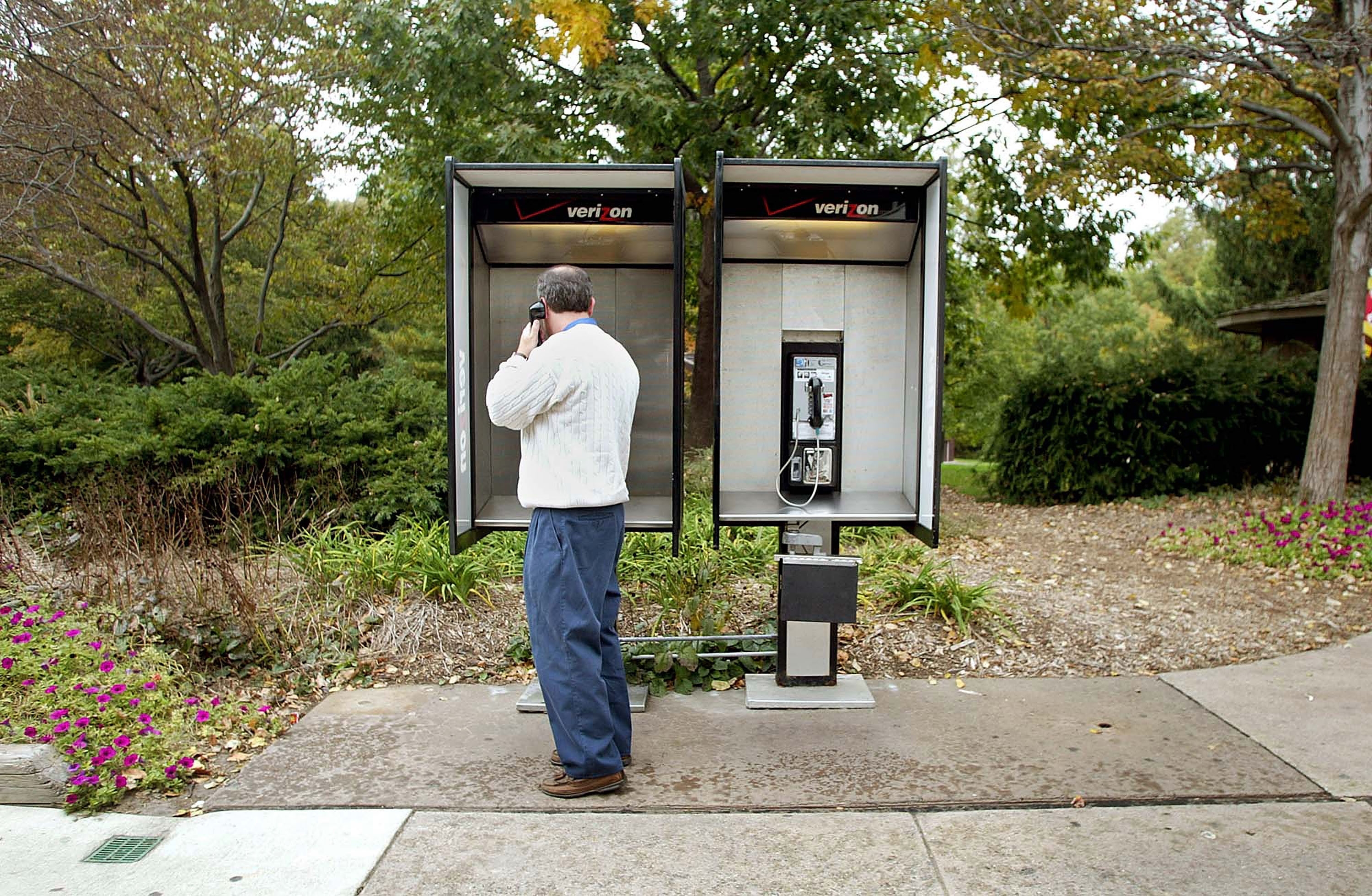 Person using a payphone in an outdoor setting with trees and flowers in the background
