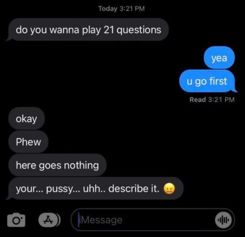 Text conversation asking inappropriate question in a game of 21 questions