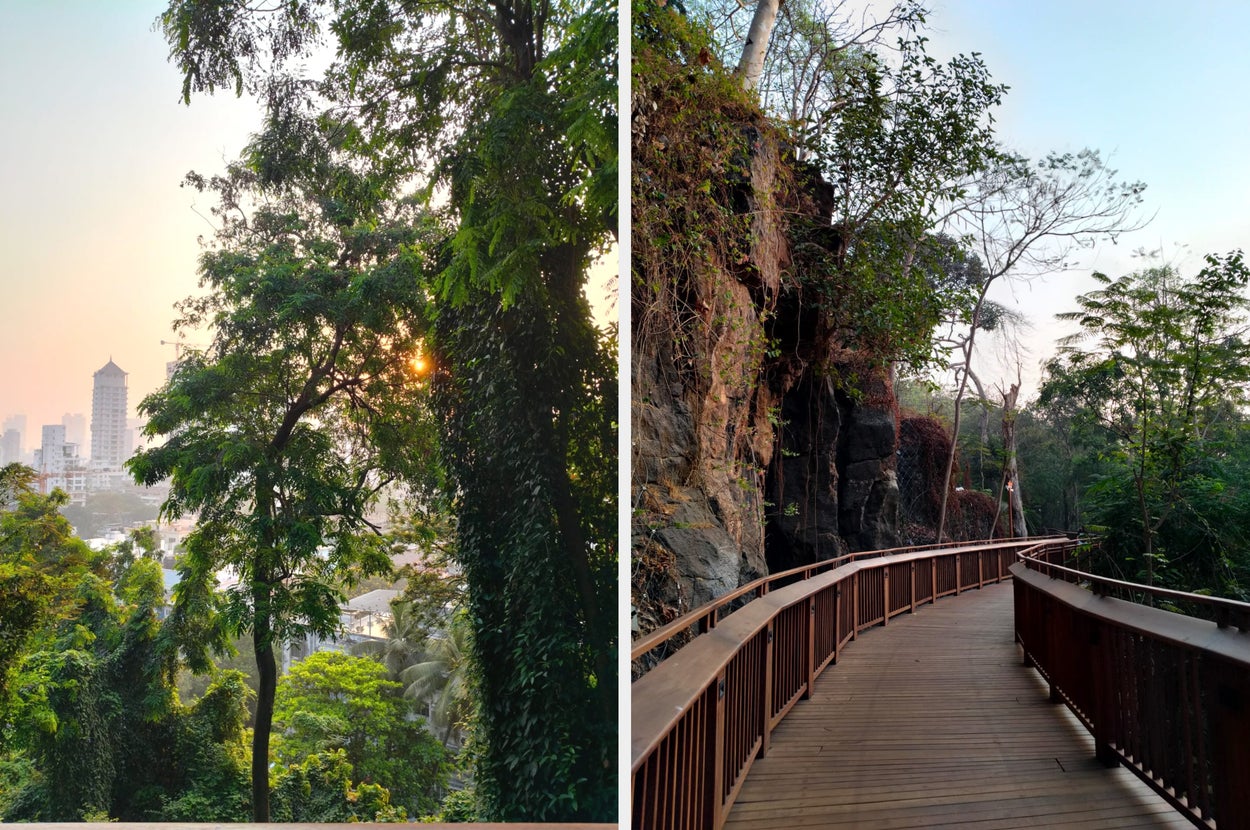 A walk through Mumbai's Malabar Hill elevated walkway