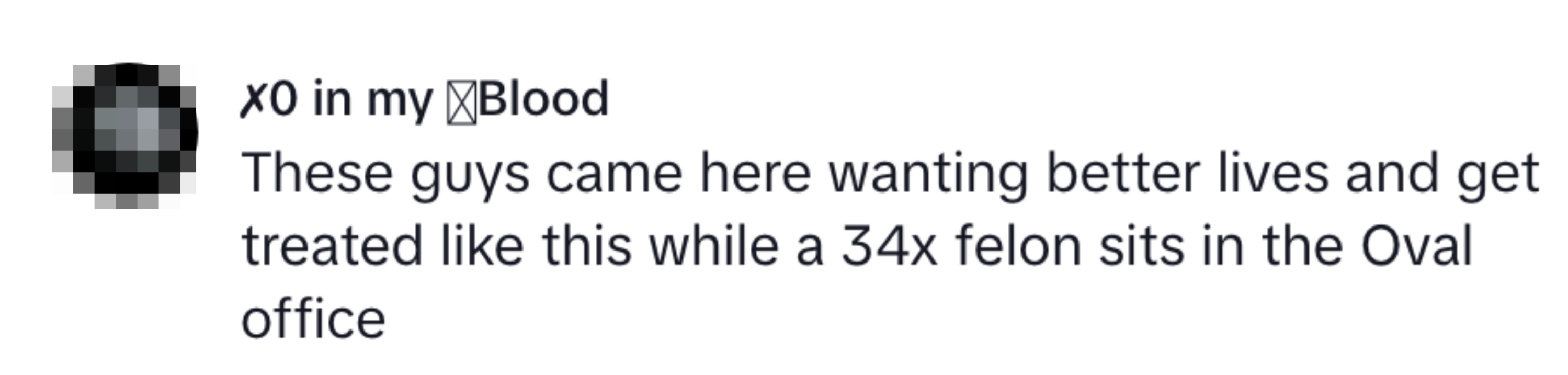 A user comments on inequality, comparing treatment of immigrants to a repeated offender holding office