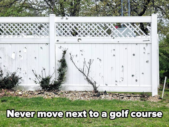 Damaged white fence with holes, small bushes in front, and a patch of green grass